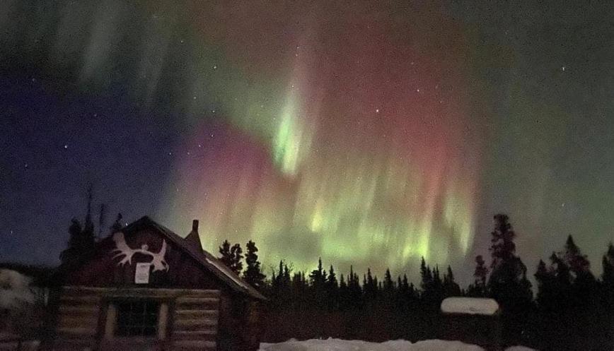 Mount Logan Ecolodge & Retreat Center Haines Junction Bagian luar foto